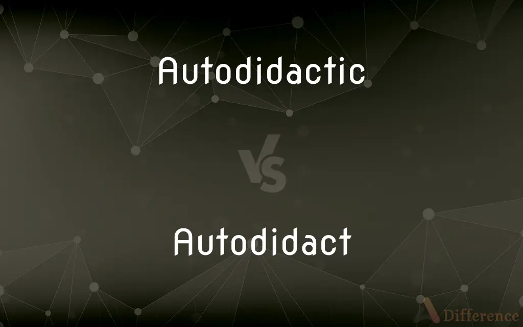 Autodidactic vs. Autodidact — What's the Difference?