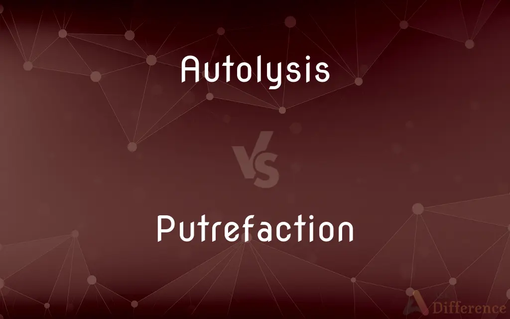 Autolysis vs. Putrefaction — What's the Difference?