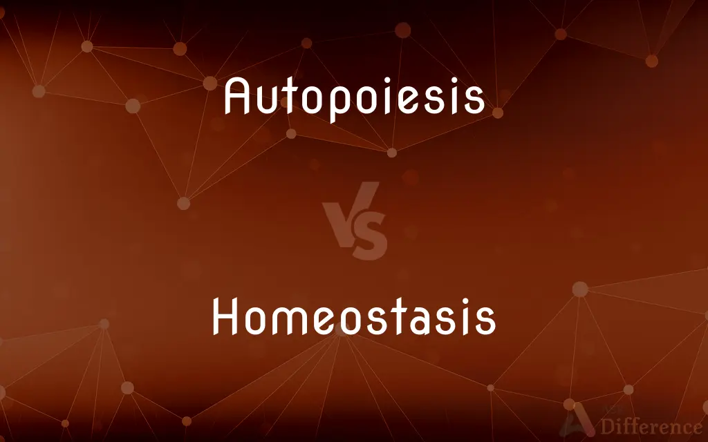 Autopoiesis vs. Homeostasis — What's the Difference?