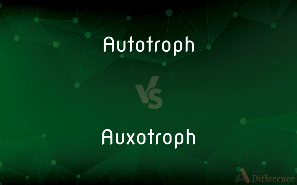 Autotroph vs. Auxotroph — What's the Difference?