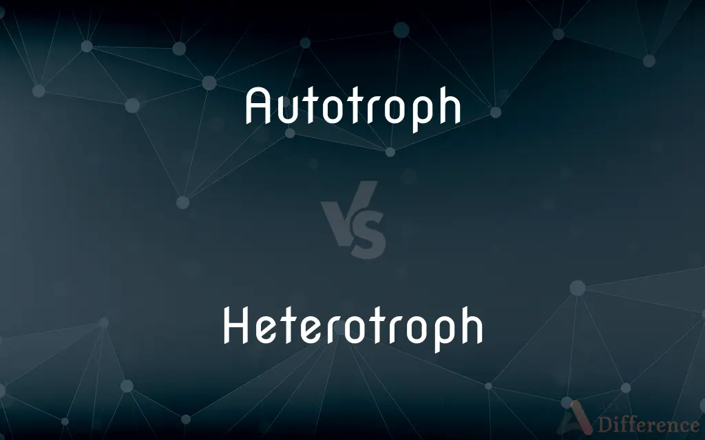 Autotroph vs. Heterotroph — What's the Difference?