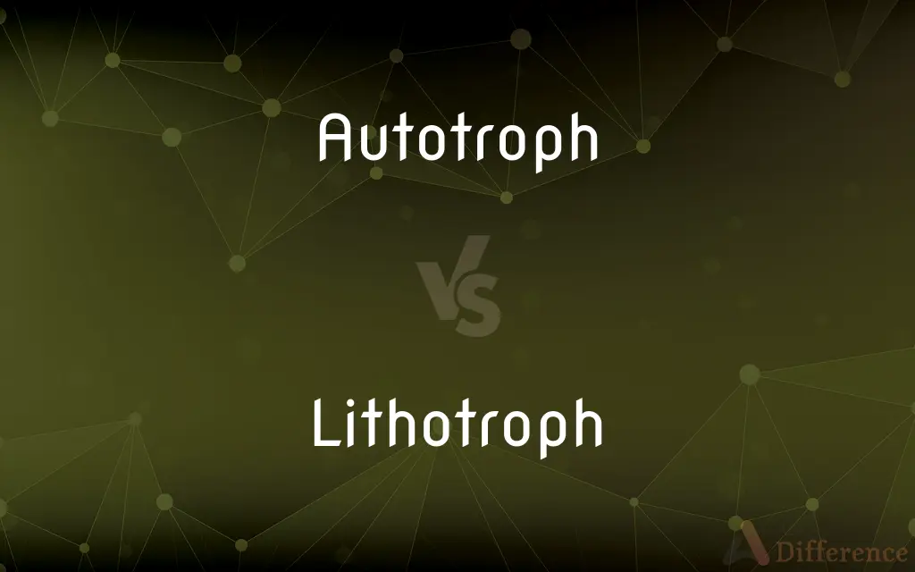 Autotroph vs. Lithotroph — What's the Difference?