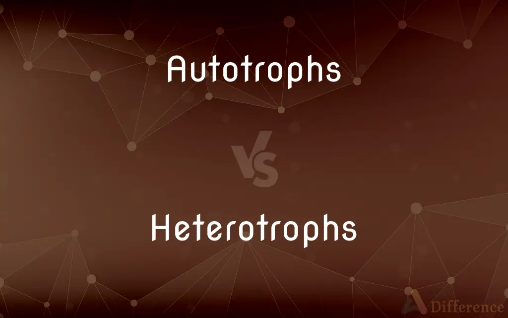 Autotrophs vs. Heterotrophs — What's the Difference?