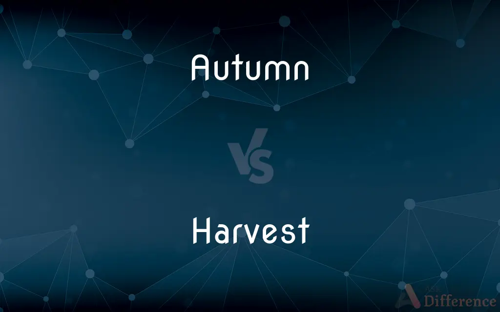 Autumn vs. Harvest — What's the Difference?