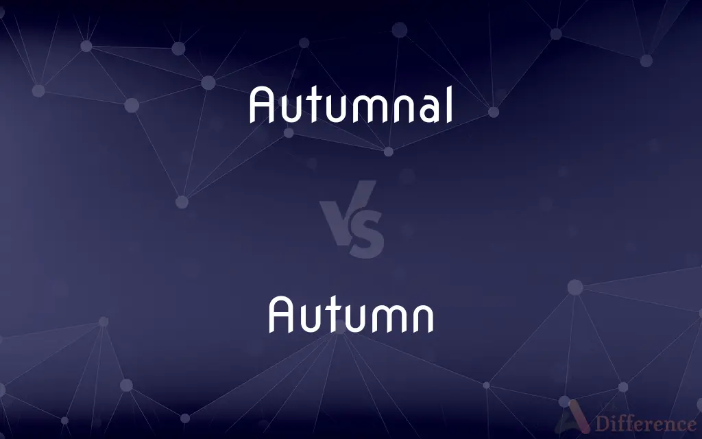 Autumnal vs. Autumn — What's the Difference?