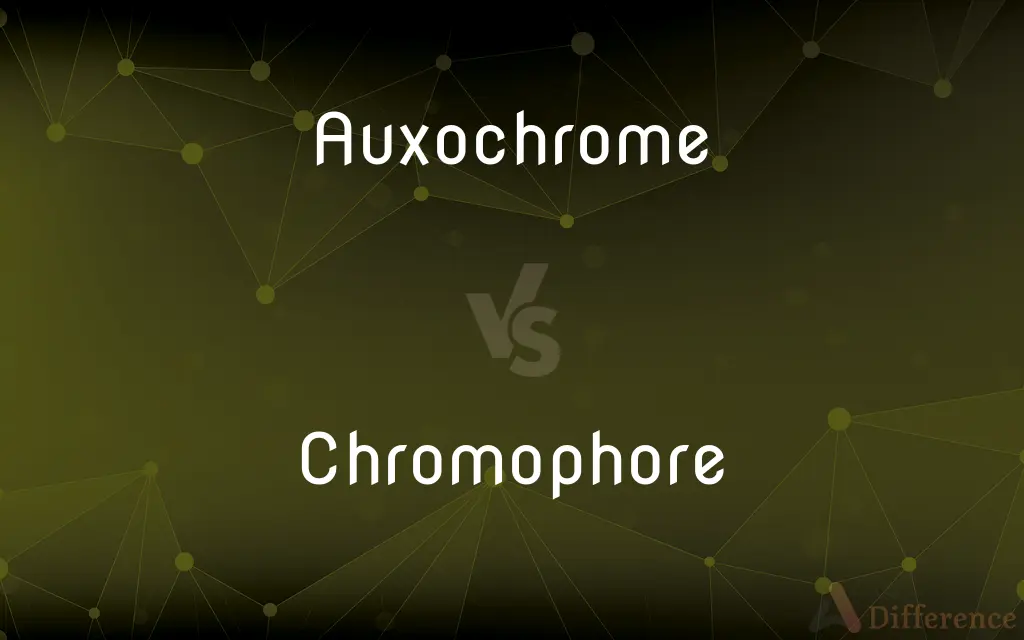 Auxochrome vs. Chromophore — What's the Difference?
