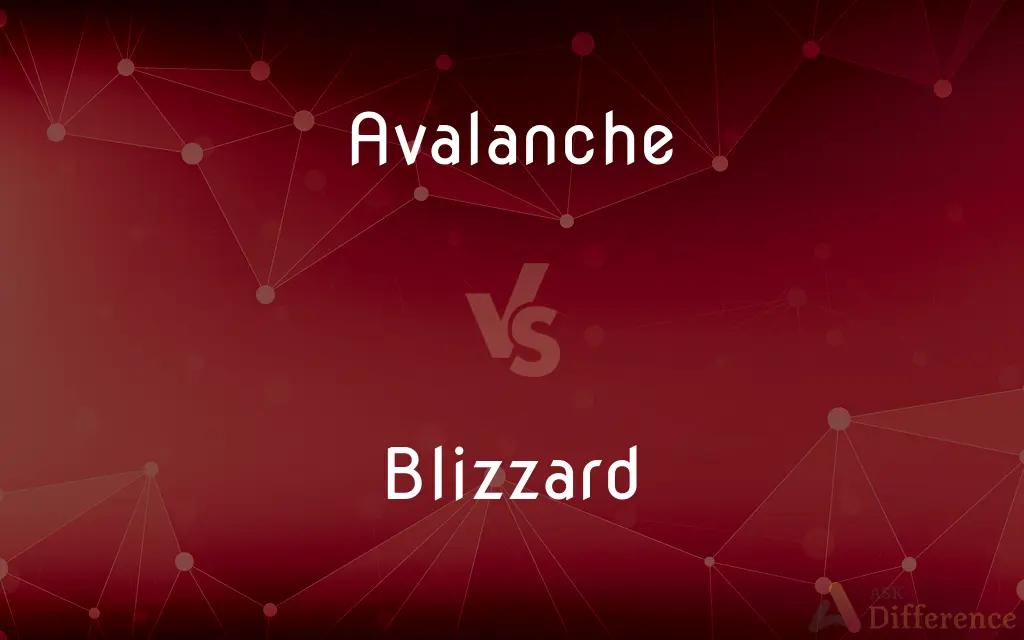 Avalanche vs. Blizzard — What's the Difference?