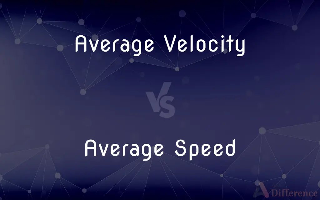 Average Velocity vs. Average Speed — What's the Difference?
