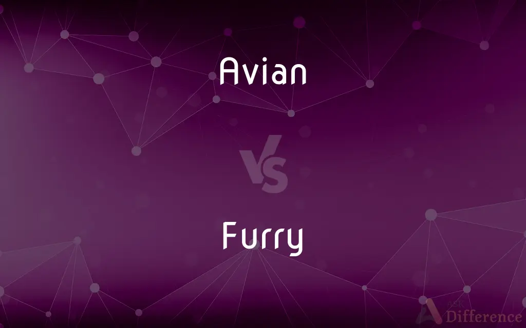 Avian vs. Furry — What's the Difference?