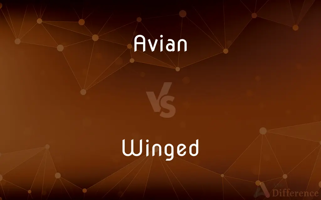 Avian vs. Winged — What's the Difference?