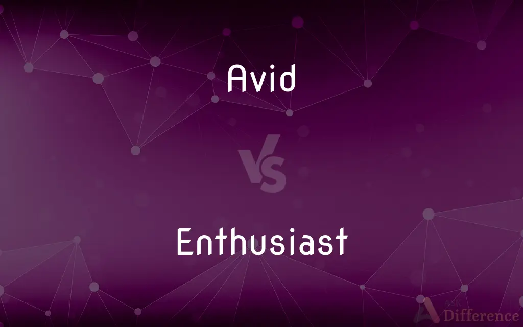 Avid vs. Enthusiast — What's the Difference?