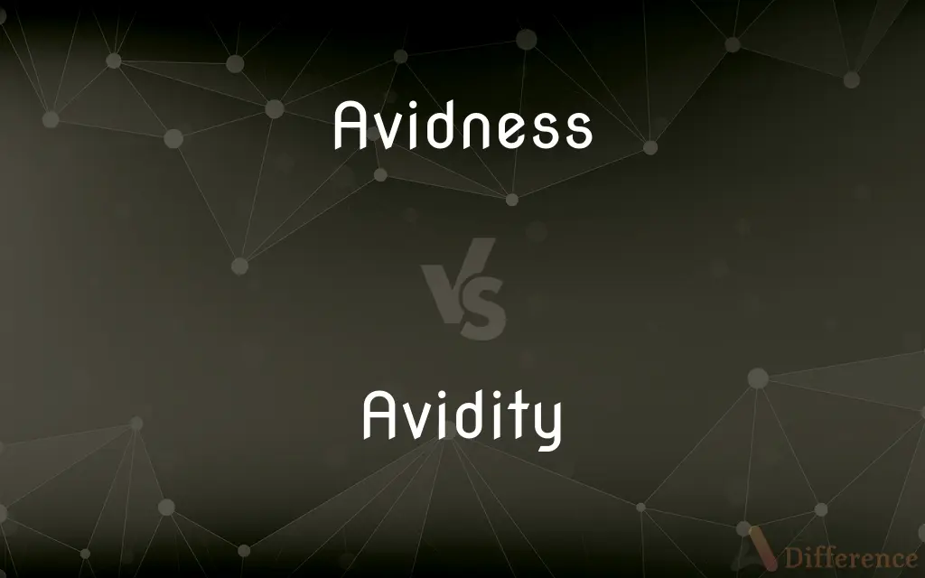 Avidness vs. Avidity — What's the Difference?