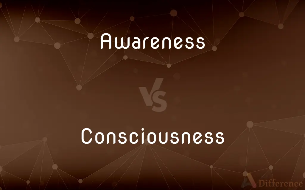 Awareness vs. Consciousness — What's the Difference?