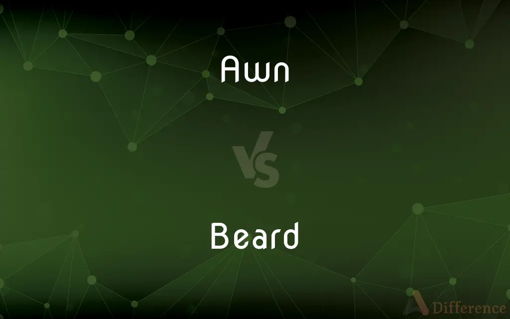 Awn vs. Beard — What's the Difference?