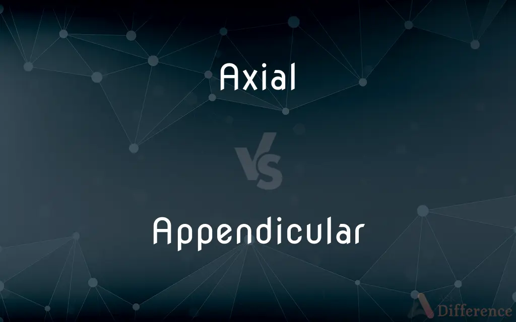Axial vs. Appendicular — What's the Difference?