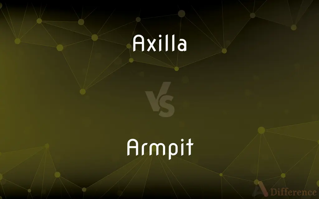 Axilla vs. Armpit — What's the Difference?