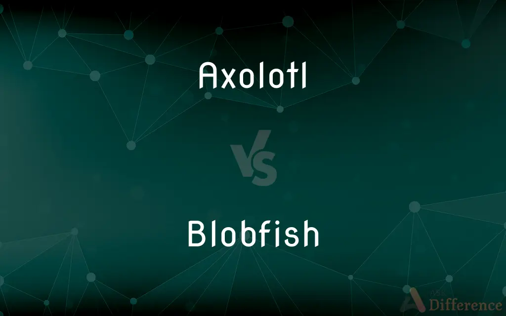 Axolotl vs. Blobfish — What's the Difference?