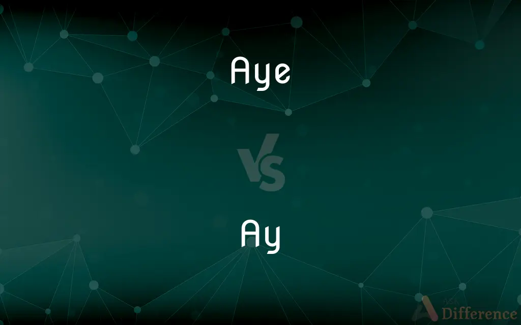 Aye vs. Ay — What's the Difference?