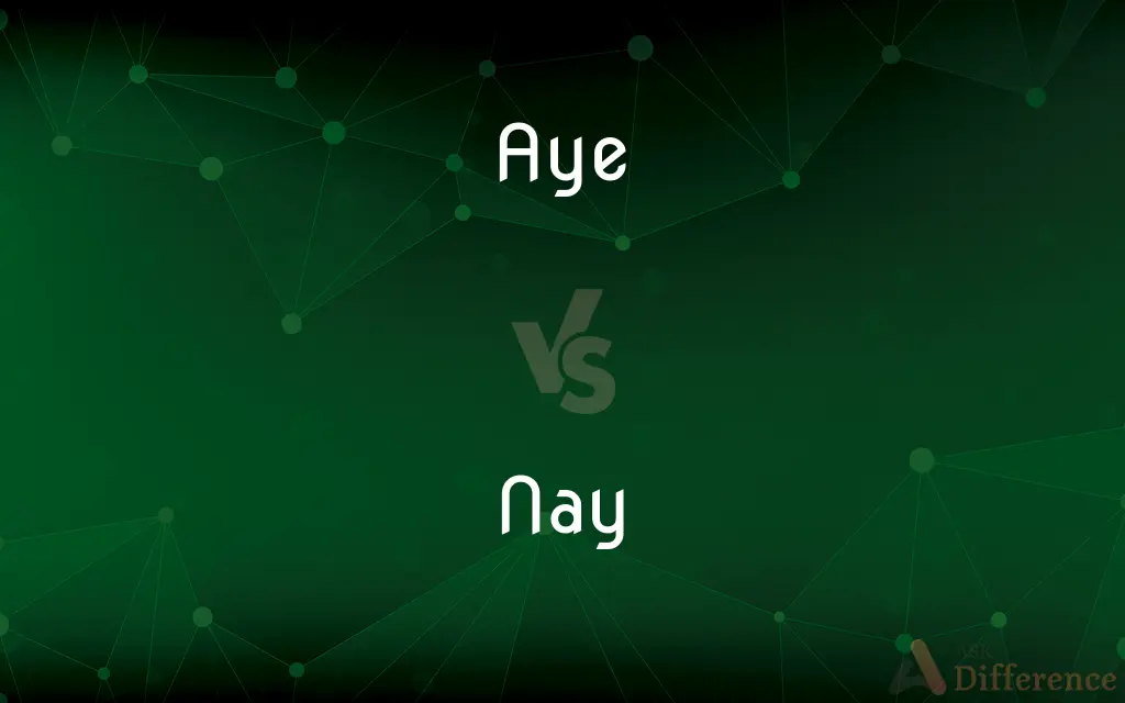 Aye vs. Nay — What's the Difference?