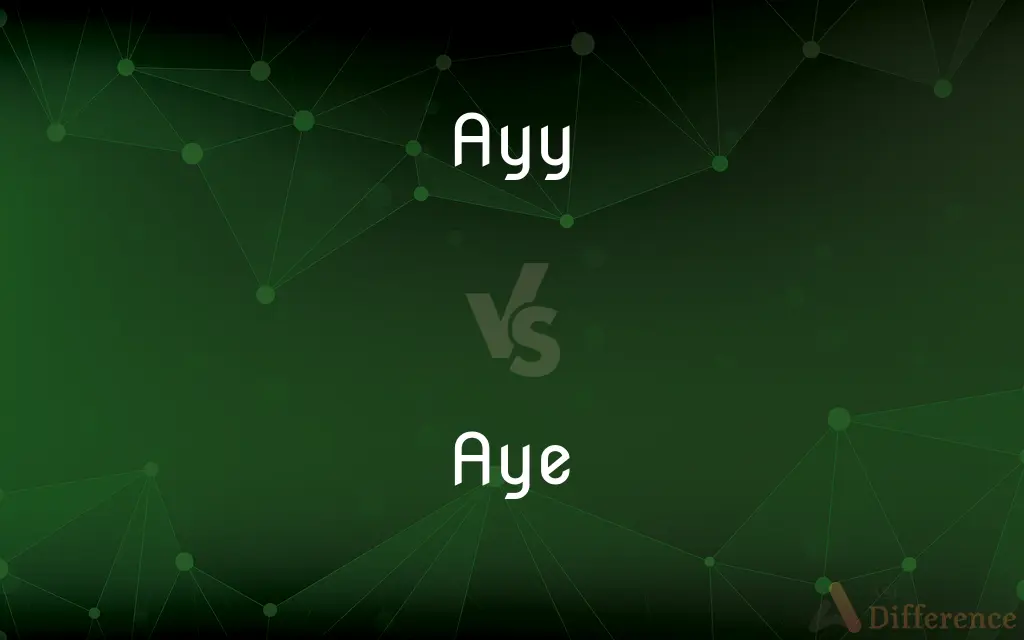 Ayy vs. Aye — Which is Correct Spelling?