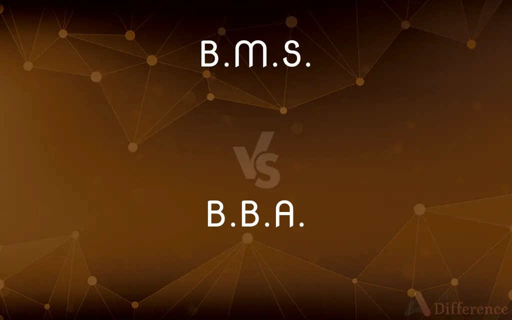 B.M.S. vs. B.B.A. — What's the Difference?