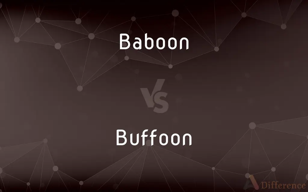 Baboon vs. Buffoon — What's the Difference?