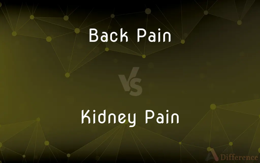 Back Pain vs. Kidney Pain — What's the Difference?
