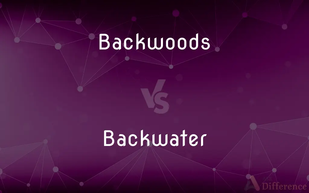 Backwoods vs. Backwater — What's the Difference?