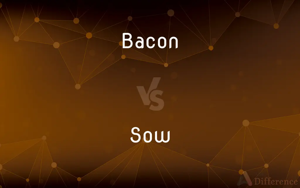 Bacon vs. Sow — What's the Difference?