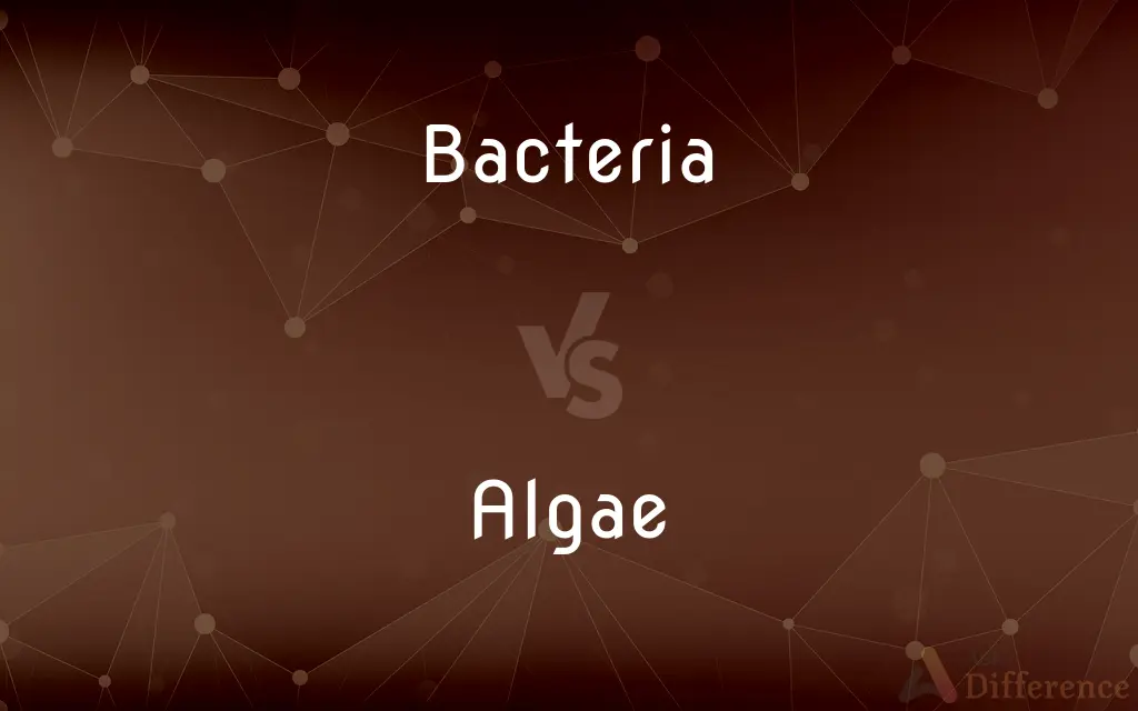 Bacteria vs. Algae — What's the Difference?