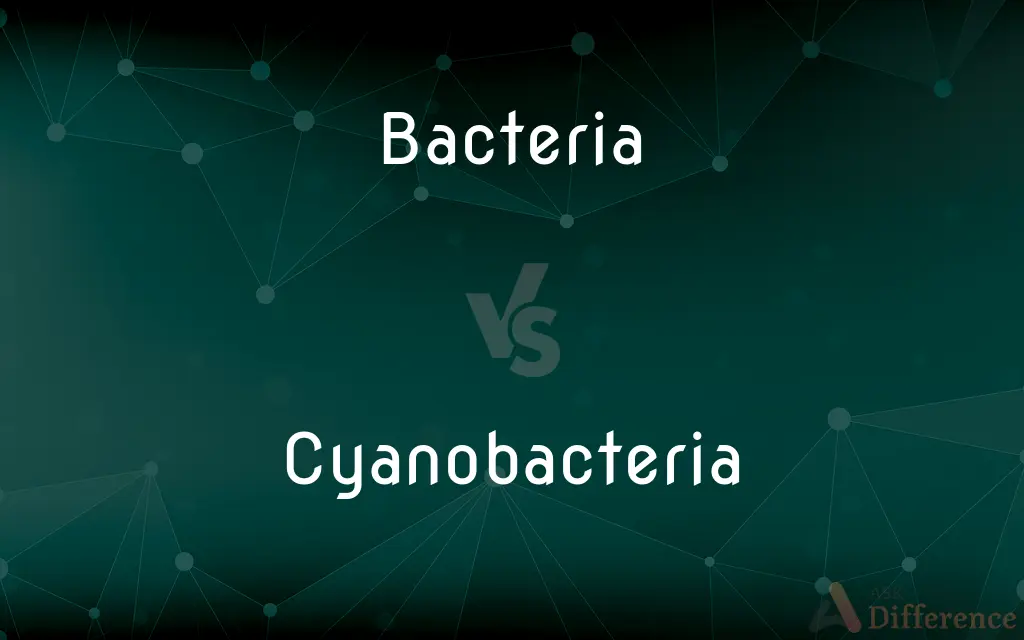 Bacteria vs. Cyanobacteria — What's the Difference?