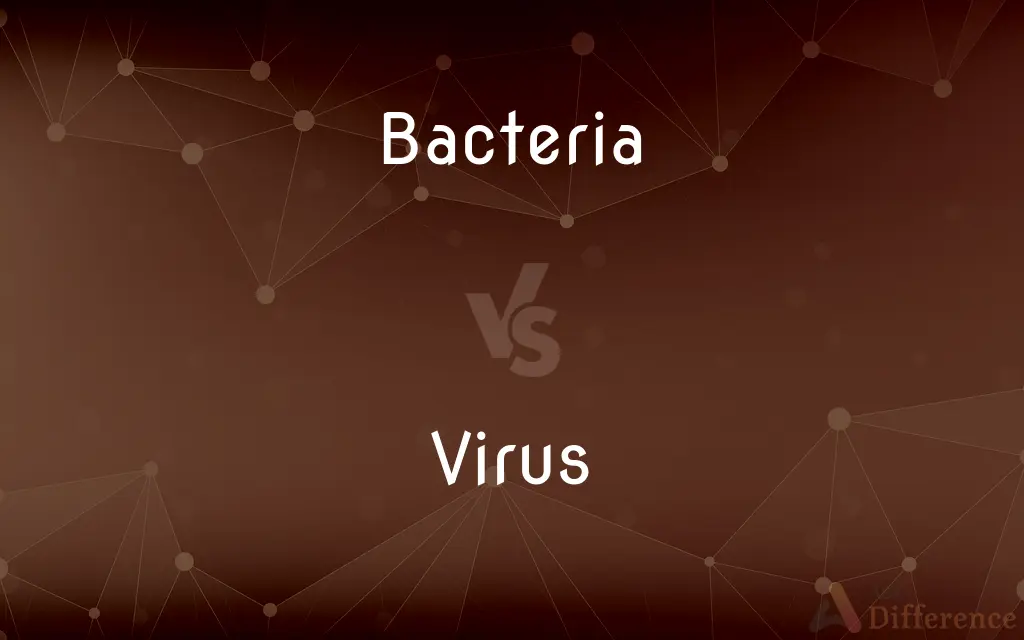 Bacteria vs. Virus — What's the Difference?