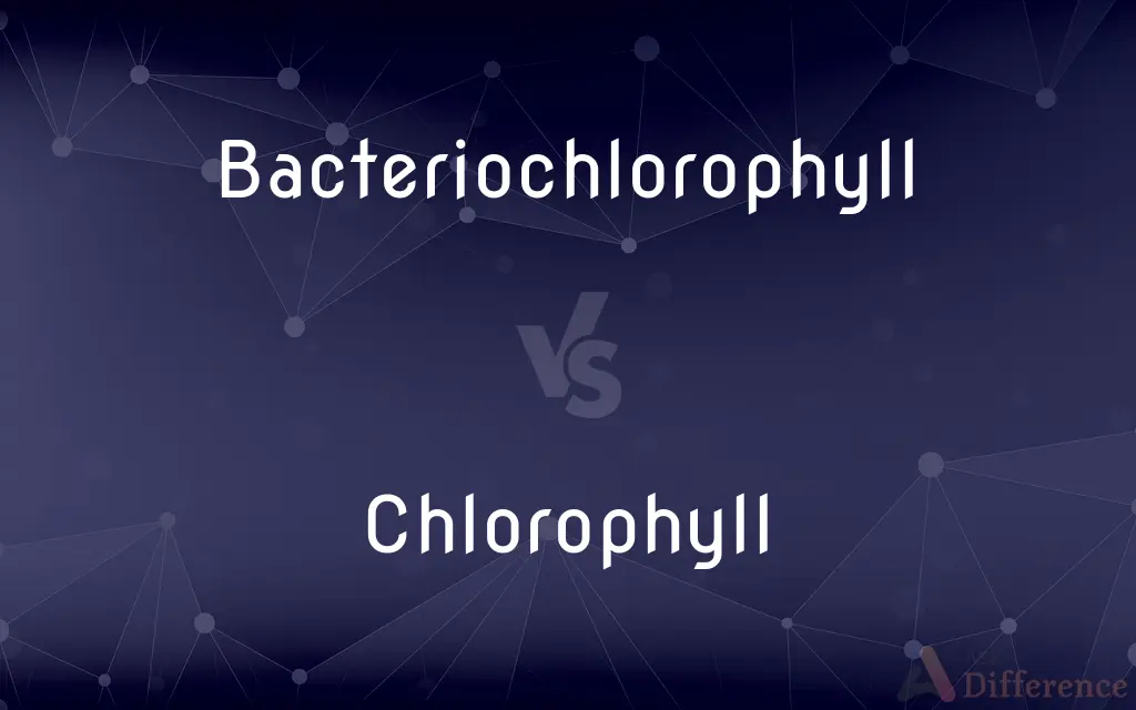 Bacteriochlorophyll vs. Chlorophyll — What's the Difference?