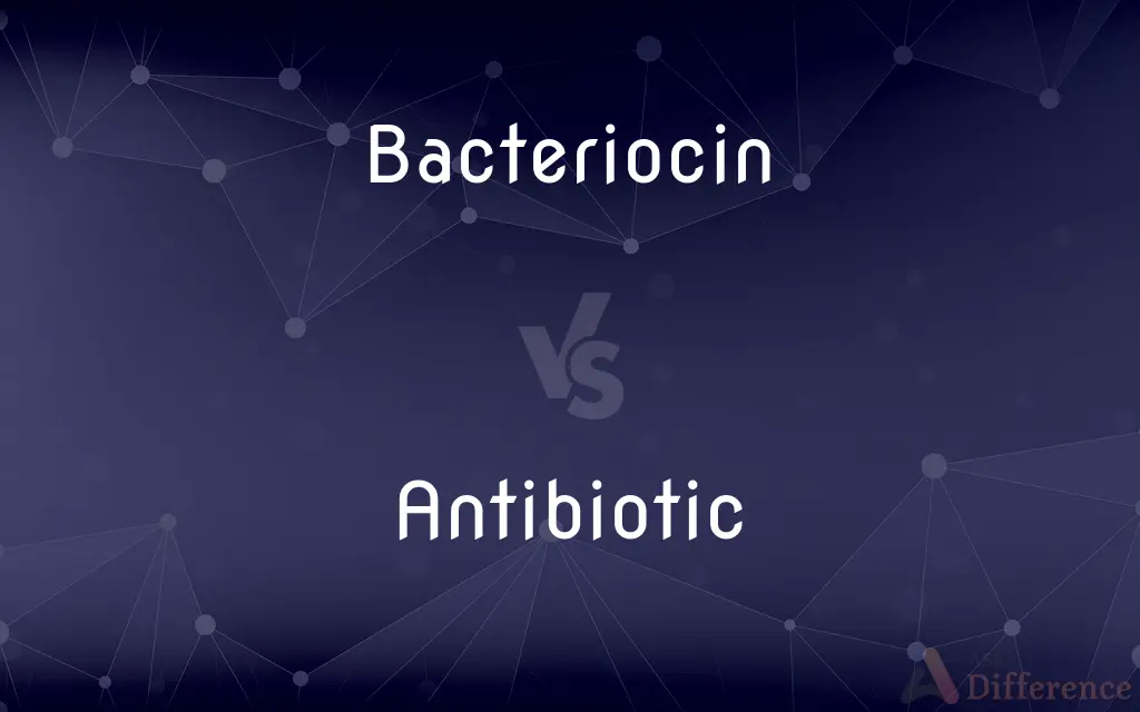 Bacteriocin vs. Antibiotic — What's the Difference?