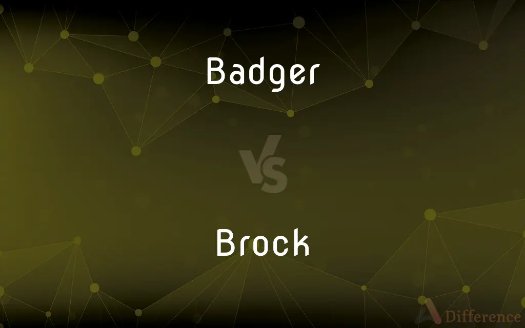 Badger vs. Brock — What's the Difference?