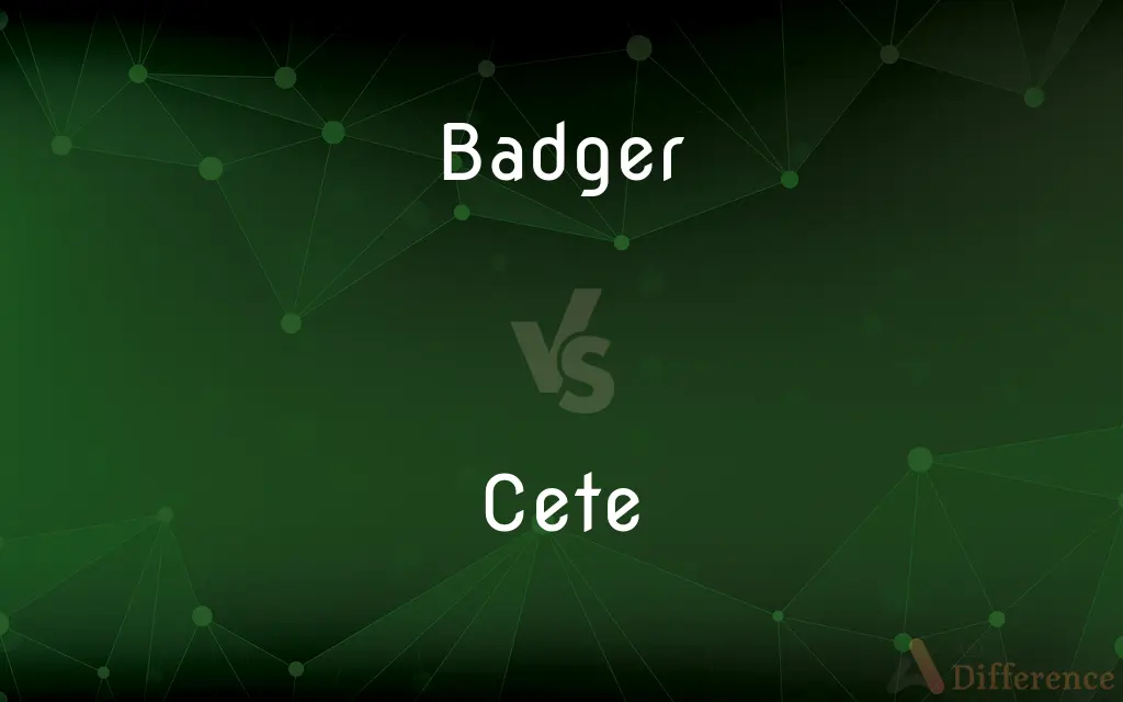 Badger vs. Cete — What's the Difference?