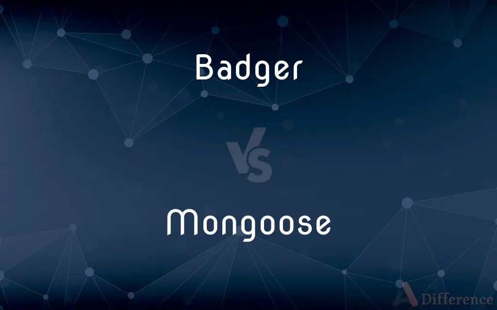 Badger vs. Mongoose — What's the Difference?