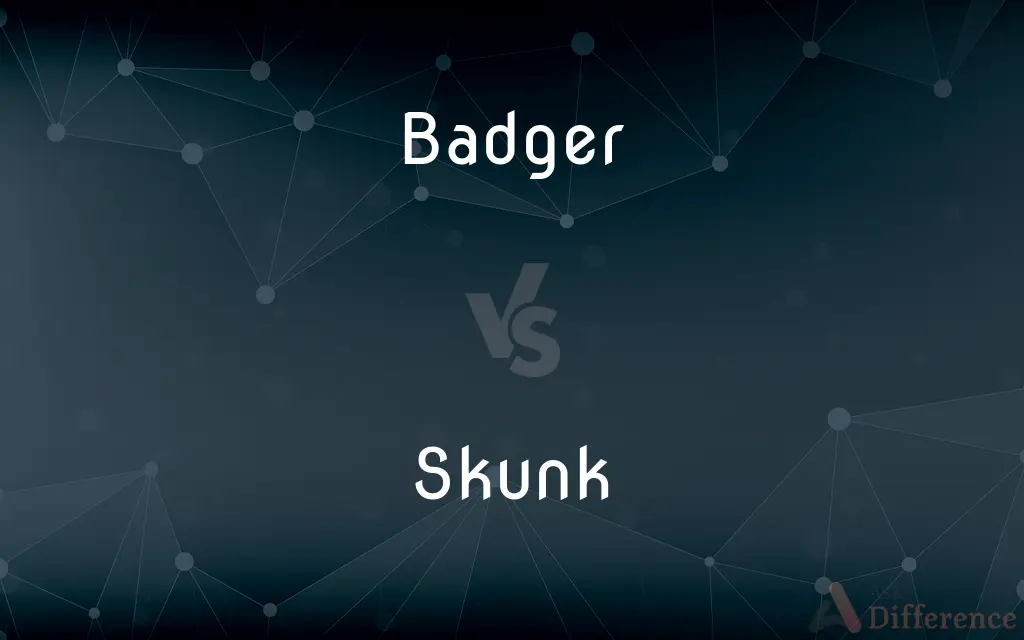 Badger vs. Skunk — What's the Difference?