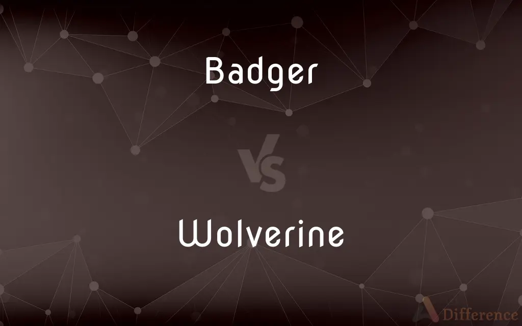 Badger vs. Wolverine — What's the Difference?