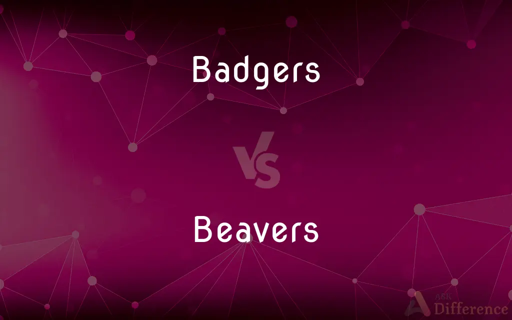Badgers vs. Beavers — What's the Difference?