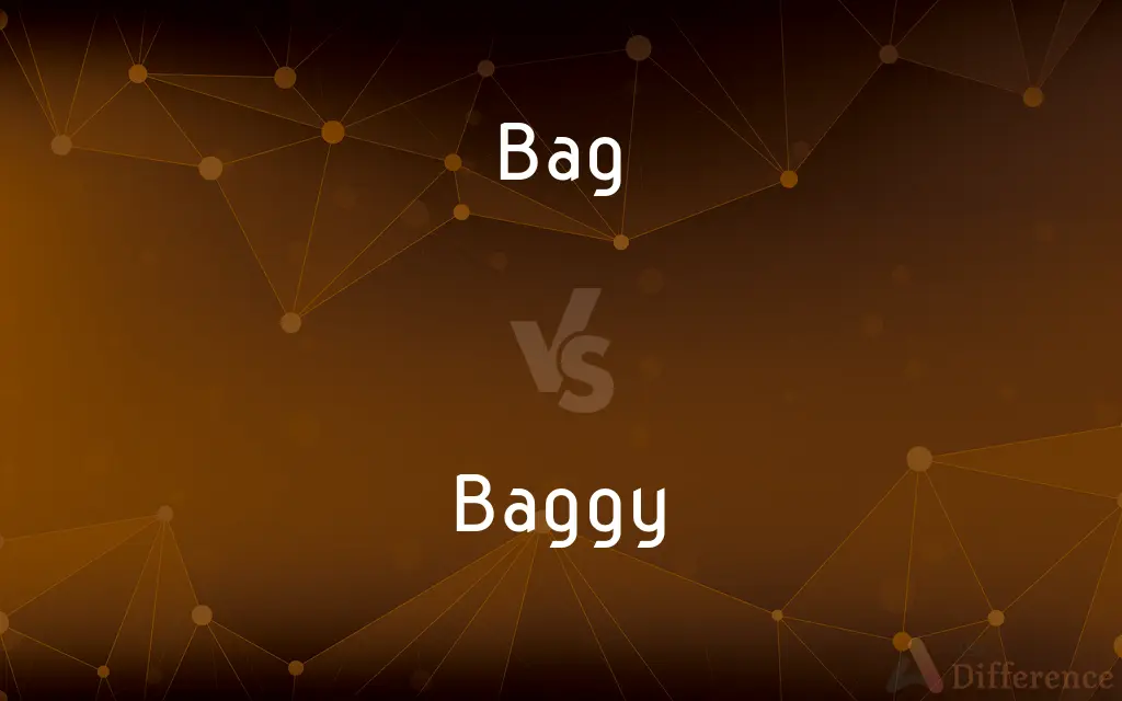 Bag vs. Baggy — What's the Difference?