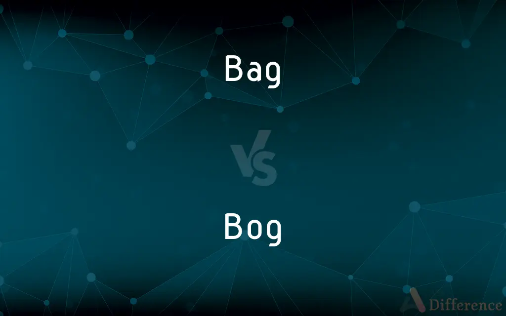 Bag vs. Bog — What's the Difference?