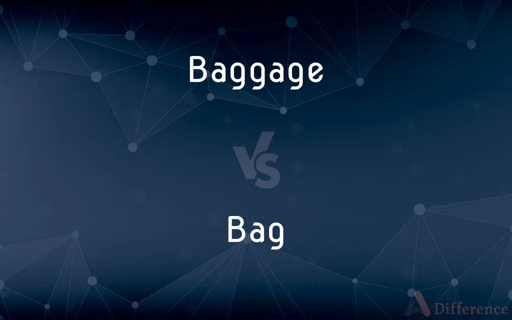 Baggage vs. Bag — What's the Difference?