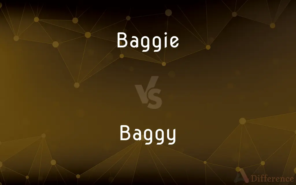 Baggie vs. Baggy — What's the Difference?