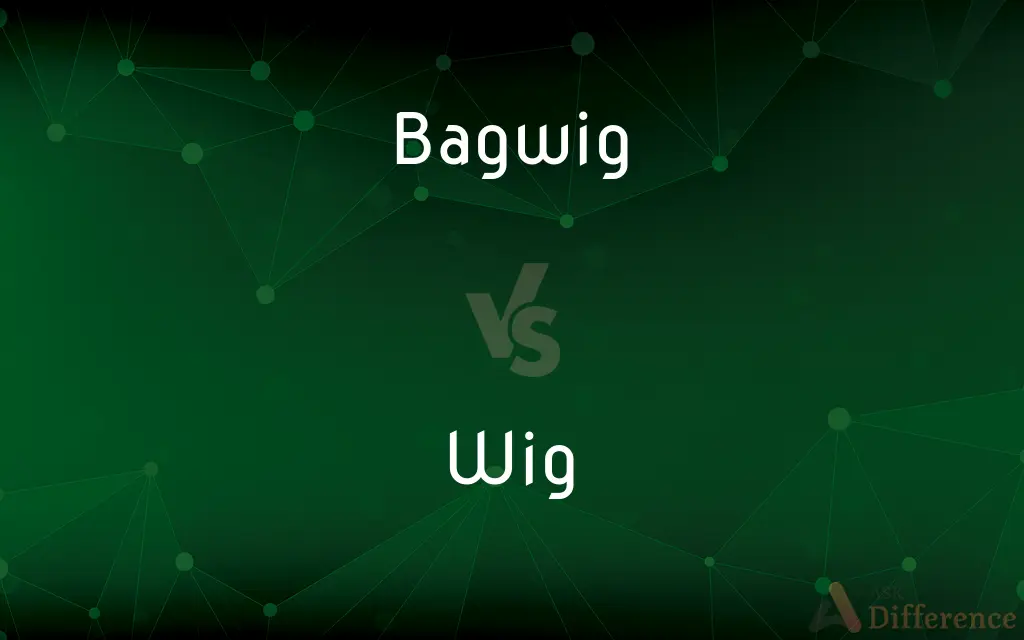Bagwig vs. Wig — What's the Difference?