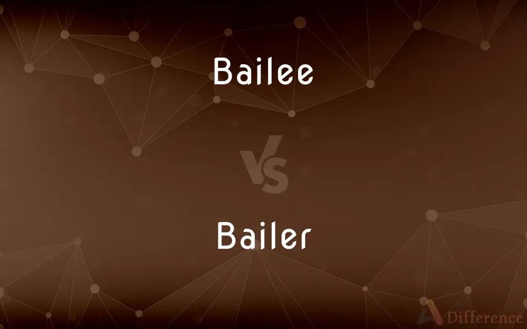 Bailee vs. Bailer — What's the Difference?