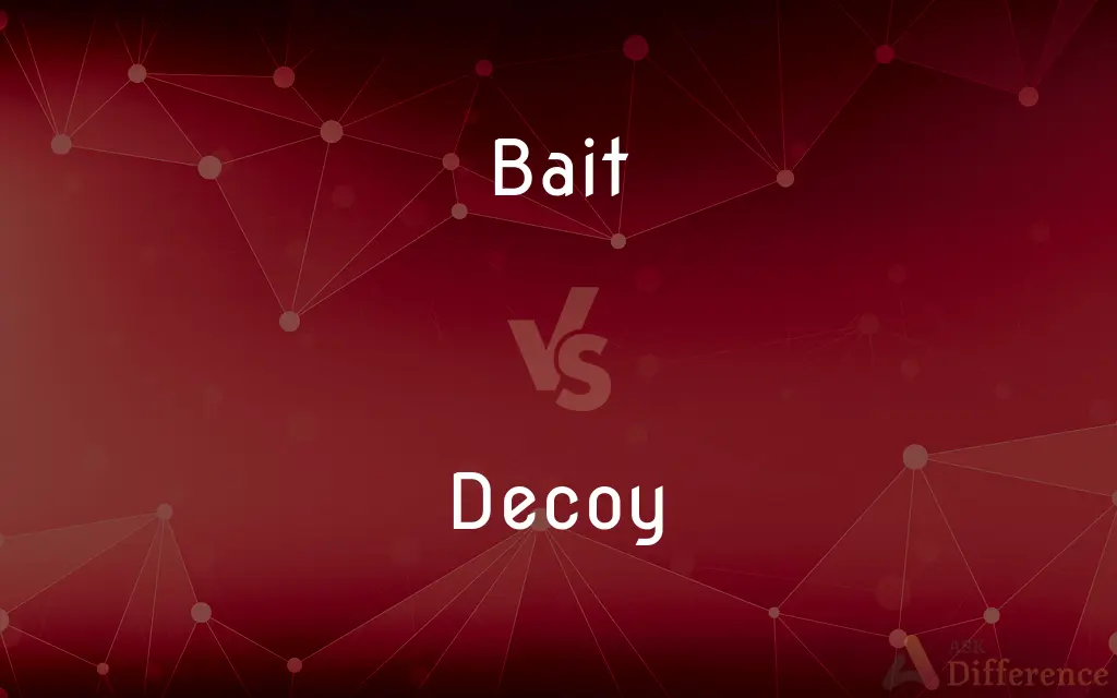 Bait vs. Decoy — What's the Difference?