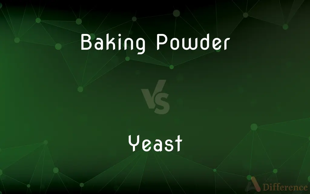 Baking Powder vs. Yeast — What's the Difference?