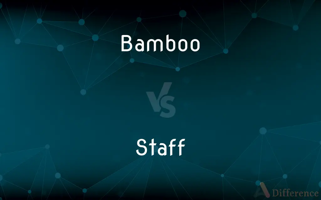 Bamboo vs. Staff — What's the Difference?