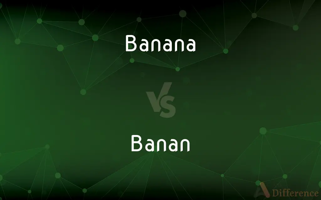 Banana vs. Banan — Which is Correct Spelling?